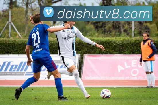 袋鼠直播官网APP 封面图